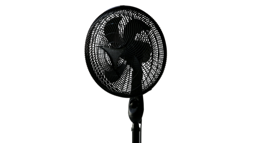 Pedestal Fan