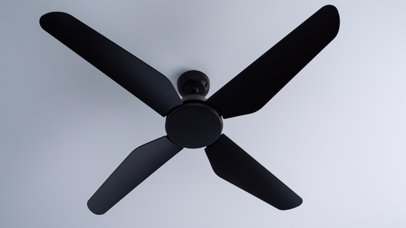 Fan