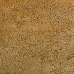 Plasterig Sand