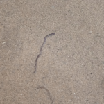 Bhallu sand
